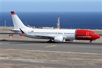 �Alfonso Sol�s - Asociaci�n Canary Islands Spotting. Click to see full size photo
