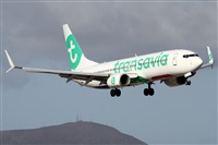 ©Alfonso Solís - Asociación Canary Islands Spotting. Click to see full size photo ©Alfonso Solís - Asociación Canary Islands Spotting. Click to see full size photo