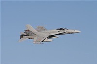 Galo Alcolea - Iberian Spotter / AIRE.ORG. Click to see full size photo
