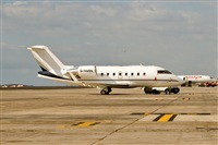 Javier de la Cruz - CANARY ISLANDS SPOTTING. Click to see full size photo