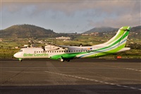 Javier de la Cruz - CANARY ISLANDS SPOTTING. Click to see full size photo
