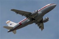 Rodrigo Carvalho - Noisy Spotters. Click to see full size photo