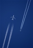 ©Javier González. Click to see full size photo ©Javier González. Click to see full size photo