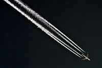 Carlos Moreira  *  PortugalSpotters.org. Click to see full size photo