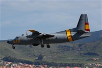 Chalo Canary Islands Spotting. Click to see full size photo