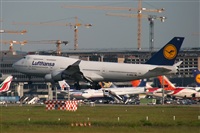Adrin Alonso Lemes - Lanzarote Spotters. Click to see full size photo