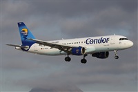 Alfonso Sols - Asociacin Canary Islands Spotting. Click to see full size photo