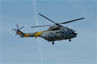 Justo Miguel Prieto. ( Malaga Spotters). Click to see full size photo