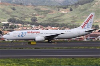 Alfonso Sols - Asociacin Canary Islands Spotting. Click to see full size photo