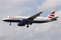 ©Alfonso Solís - Asociación Canary Islands Spotting. Click to see full size photo ©Alfonso Solís - Asociación Canary Islands Spotting. Click to see full size photo