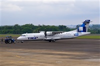 Javier de la Cruz - CANARY ISLANDS SPOTTING. Click to see full size photo