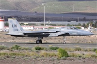 ©Alfonso Solís - Asociación Canary Islands Spotting. Click to see full size photo ©Alfonso Solís - Asociación Canary Islands Spotting. Click to see full size photo