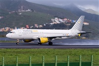 Javier de la Cruz - CANARY ISLANDS SPOTTING. Click to see full size photo
