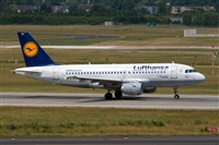 Javier de la Cruz - CANARY ISLANDS SPOTTING. Click to see full size photo