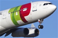 Rui Alves - Madeira Spotters. Haz click para ampliar