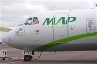 Fabio Duarte - Manaus Spotting Team. Click to see full size photo