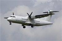 Javier de la Cruz - CANARY ISLANDS SPOTTING. Click to see full size photo