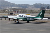 Nacho Rodriguez - Canary Islands Spotting. Click to see full size photo