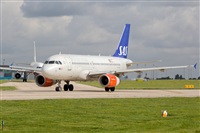 Javier de la Cruz - CANARY ISLANDS SPOTTING. Click to see full size photo
