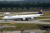 Javier de la Cruz - CANARY ISLANDS SPOTTING. Haz click para ampliar