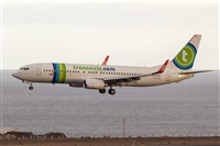 Javier de la Cruz - CANARY ISLANDS SPOTTING. Click to see full size photo