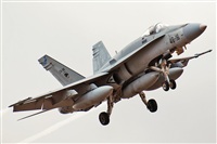 J. Victor Vega-Gran Canaria Spotters. Click to see full size photo