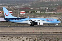 Alfonso Sols - Asociacin Canary Islands Spotting. Click to see full size photo