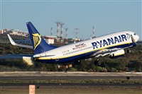 Saimon J Rodriguez   -   Canary Islands Spotting. Click to see full size photo