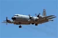 Bartolom Fernndez - Gran Canaria Spotters. Haz click para ampliar