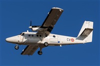 Adolfo Bento - Gran Canaria Spotters. Click to see full size photo