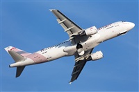 Miguel Alia - Noisy Spotters. Click to see full size photo