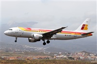 ©Nacho Rodriguez - Canary Islands Spotting. Click to see full size photo ©Nacho Rodriguez - Canary Islands Spotting. Click to see full size photo
