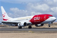 ©Daniel Santos Batista - Canary Islands Spotting. Click to see full size photo ©Daniel Santos Batista - Canary Islands Spotting. Click to see full size photo