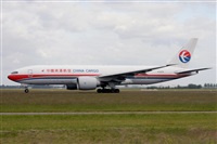 Miguel A. gueda Rguez.  (CANARY ISLANDS SPOTTING). Click to see full size photo
