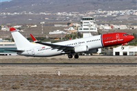 ©Alfonso Solís - Asociación Canary Islands Spotting. Click to see full size photo ©Alfonso Solís - Asociación Canary Islands Spotting. Click to see full size photo