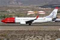 ©Alfonso Solís - Asociación Canary Islands Spotting. Click to see full size photo ©Alfonso Solís - Asociación Canary Islands Spotting. Click to see full size photo