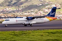 Javier de la Cruz - CANARY ISLANDS SPOTTING. Click to see full size photo