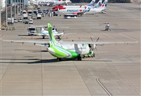 ©Alejandro H.L - Gran Canaria Spotters. Click to see full size photo ©Alejandro H.L - Gran Canaria Spotters. Click to see full size photo
