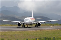 Nacho Rodriguez - Canary Islands Spotting. Click to see full size photo