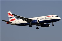 Alfonso Sols - Asociacin Canary Islands Spotting. Click to see full size photo