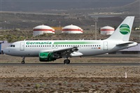 ©Alfonso Solís - Asociación Canary Islands Spotting. Click to see full size photo ©Alfonso Solís - Asociación Canary Islands Spotting. Click to see full size photo