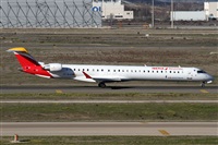 Alfonso Sols - Asociacin Canary Islands Spotting. Click to see full size photo