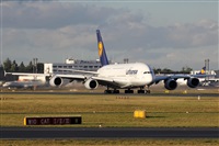 Adrin Alonso Lemes - Lanzarote Spotters. Click to see full size photo