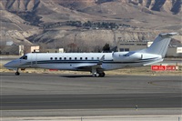 ©Alfonso Solís - Asociación Canary Islands Spotting. Click to see full size photo ©Alfonso Solís - Asociación Canary Islands Spotting. Click to see full size photo