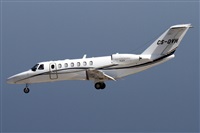 Alfonso Sols - Asociacin Canary Islands Spotting. Haz click para ampliar