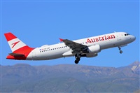 Miguel A. gueda Rguez.  (CANARY ISLANDS SPOTTING). Click to see full size photo