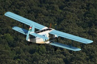 Tams. Click to see full size photo