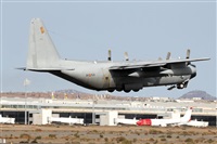 Adrin Alonso Lemes - Lanzarote Spotters. Click to see full size photo