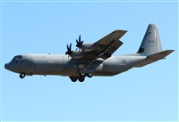 ©Alejandro H.L - Gran Canaria Spotters. Click to see full size photo ©Alejandro H.L - Gran Canaria Spotters. Click to see full size photo