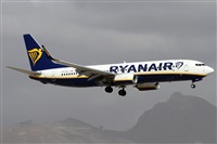 Alfonso Sols - Asociacin Canary Islands Spotting. Click to see full size photo